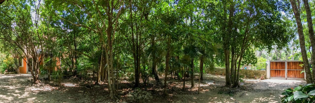 Villa Flor De Mayo Tulum Exterior foto