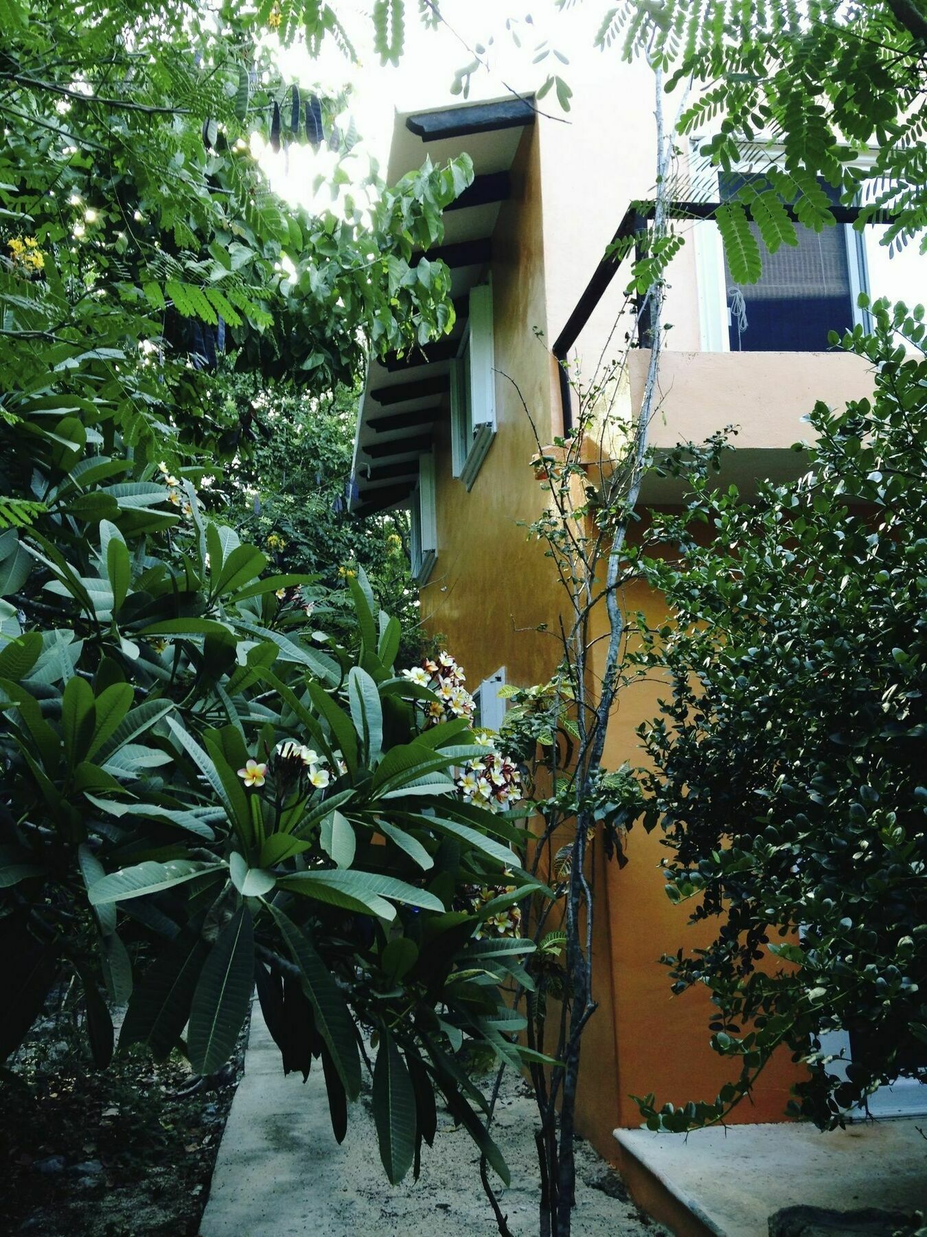 Villa Flor De Mayo Tulum Exterior foto